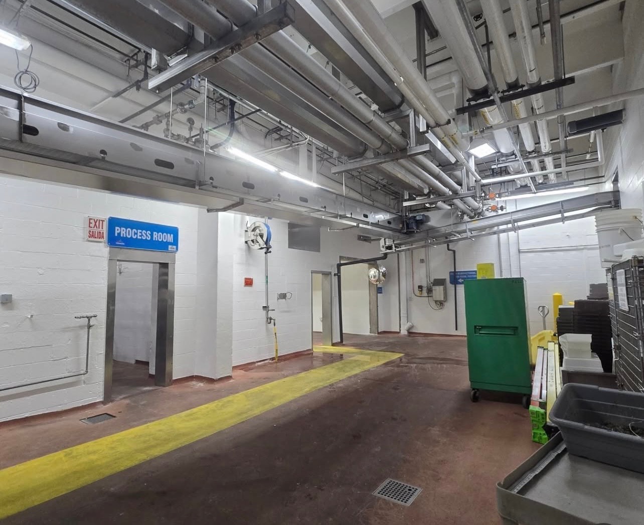 Process Room area — completed white wall repaint